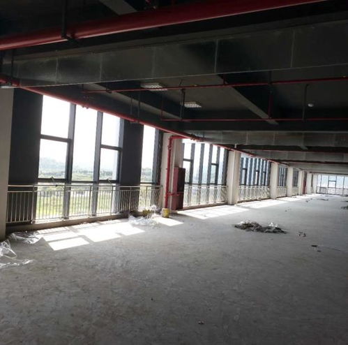 隔熱膜批發優選企業 本信息長期有效