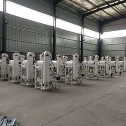 慶云篩選設備廠 小麥精選機批發(fā) 雙層糧食篩選去石機