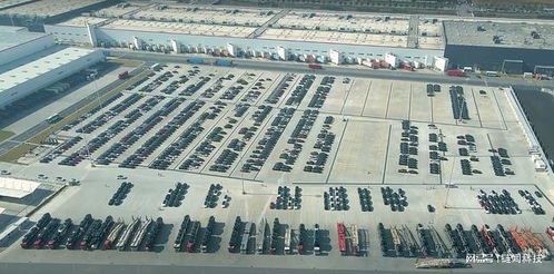 特斯拉上海工廠11月份的批發數量達到52859輛,其中出口了21127輛